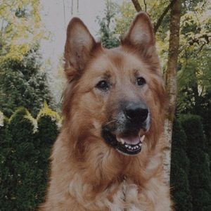 Meet your Posher, Will